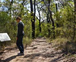 Jack Evans walking track Trail Hiking Australia
