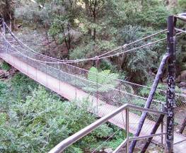 Jenolan River walking track Trail Hiking Australia