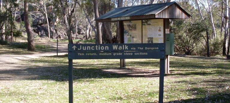 Junction walk Trail Hiking Australia