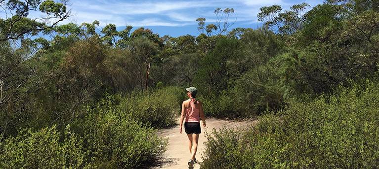 Karloo walking track Trail Hiking Australia