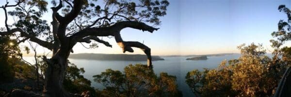 Koolewong track 600x201