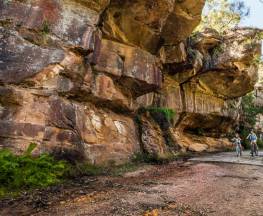 Lady Carrington Drive Trail Hiking Australia