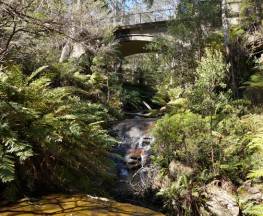 Leura Cascades Fern Bower Trail Hiking Australia