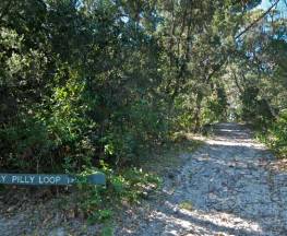 Lillypilly loop trail Trail Hiking Australia