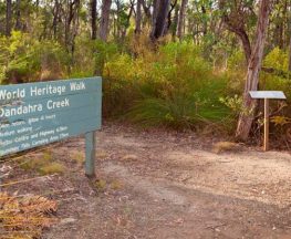 Little Dandahra Creek walking track Trail Hiking Australia