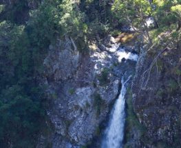 Lyrebird Falls walking track Trail Hiking Australia
