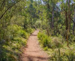 Mares Forest Creek walking track Trail Hiking Australia