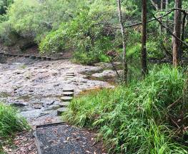 Minyon Falls walking track Trail Hiking Australia