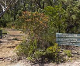 Mount Banks Summit walk Trail Hiking Australia