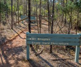 Mount Brogden walking track Trail Hiking Australia