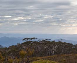 Mount Budawang trail Trail Hiking Australia