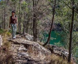 Mount Ku-ring-gai track to Berowra Station Trail Hiking Australia