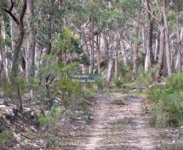 Mount Penang loop walk Trail Hiking Australia