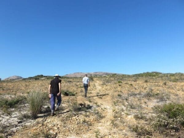 Mount Ragged Trail Walk (3km) Mt arid 600x450