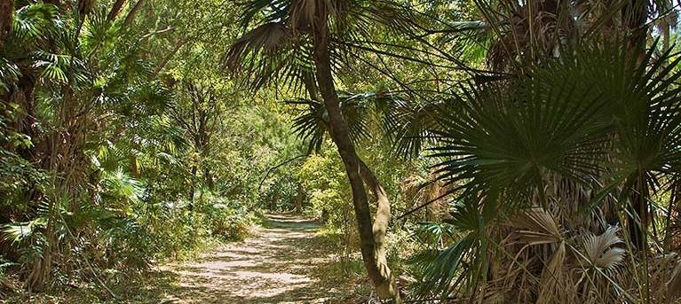 Mungo walking track Trail Hiking Australia