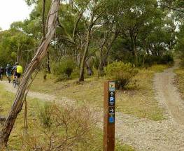 Muzzlewood track Trail Hiking Australia