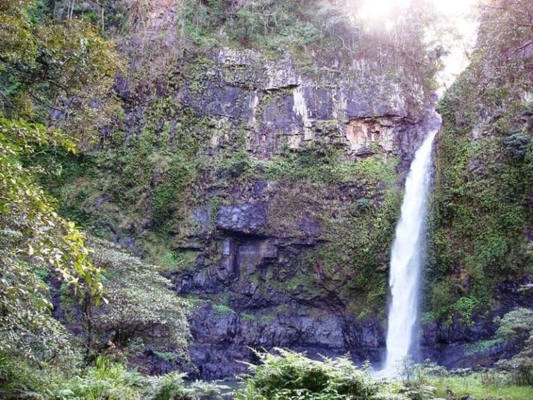 Nandroya falls circuit track 768x576
