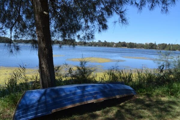 Narrabeen lagoon trail from middle creek 600x400