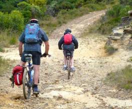 Narrow Neck trail Trail Hiking Australia