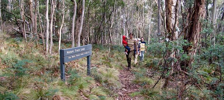 Nature walking track Trail Hiking Australia