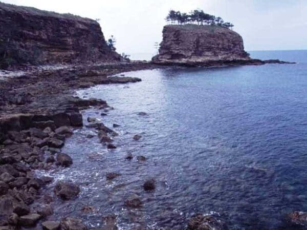 Newry island circuit and resort trail 600x449