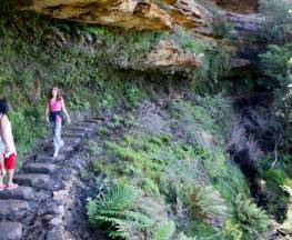Overcliff-Undercliff track Trail Hiking Australia