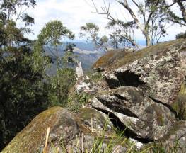 Pieries Peak walking track Trail Hiking Australia