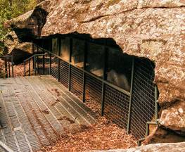 Red Hands Cave walking track - Blue Mountains National Park Trail Hiking Australia
