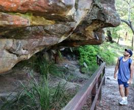 Red Hands Cave walking track - Ku-ring-gai Chase National Park Trail Hiking Australia