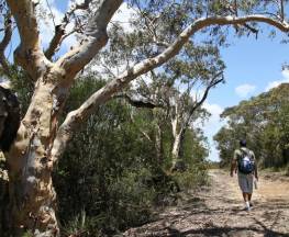 Salvation loop trail Trail Hiking Australia