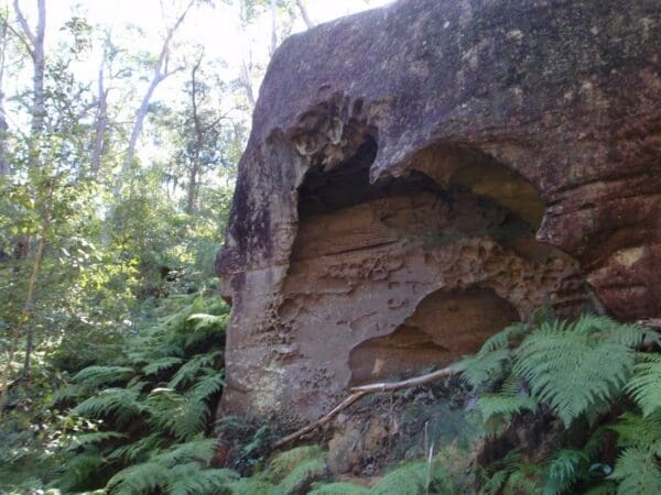 Shepherds gully and devines hill 600x450