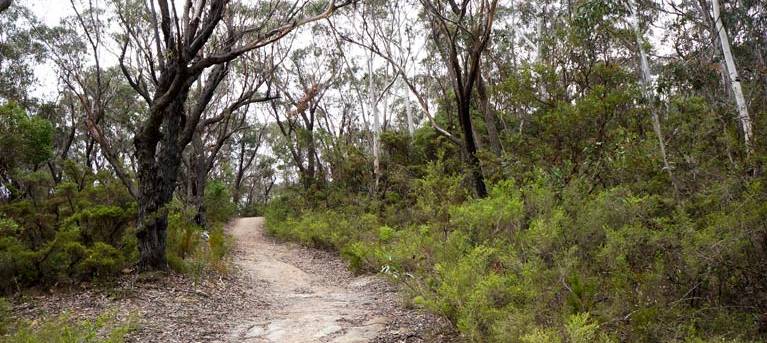 Six Foot walking track Trail Hiking Australia