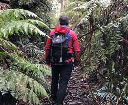Starling Gap Ada Tree Circuit Trail Hiking Australia