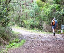 Stepping Stone Crossing to Cascades trail Trail Hiking Australia