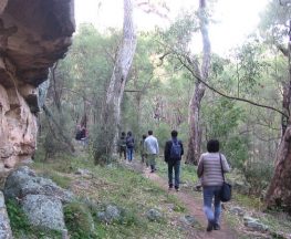 The Drip walking track Trail Hiking Australia
