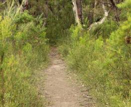 Three Views walking track Trail Hiking Australia