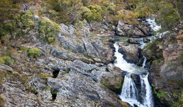 Hikes in New South Wales Tia falls walk trail hiking australia 1 600x352