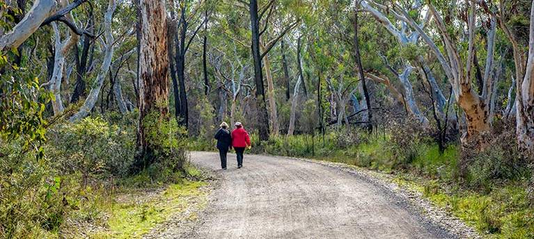Tooth's walking track to Bundanoon Creek Trail Hiking Australia