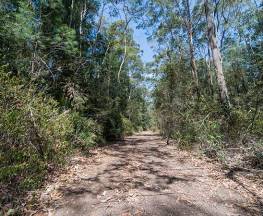 Turners walking track Trail Hiking Australia