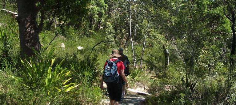Uloola walking track Trail Hiking Australia
