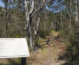 Warrigal walking track Trail Hiking Australia