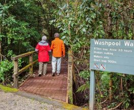 Washpool walking track Trail Hiking Australia