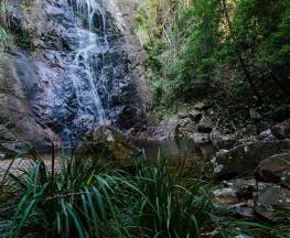 Waterfall walk Trail Hiking Australia