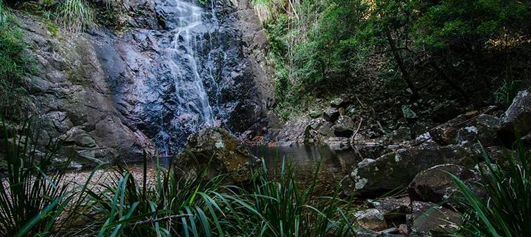 Waterfall walk Trail Hiking Australia
