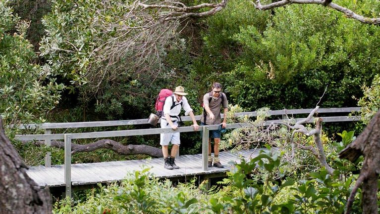Wilsons Headland walking track Trail Hiking Australia