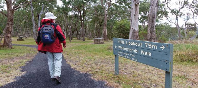 Wollomombi walking track Trail Hiking Australia