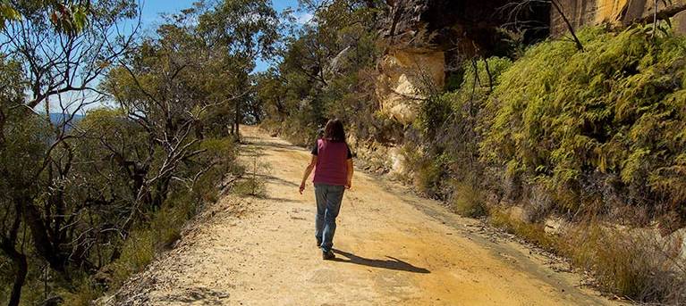 Womerah Range trail Trail Hiking Australia