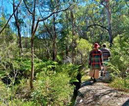Yeramba Lagoon loop track Trail Hiking Australia