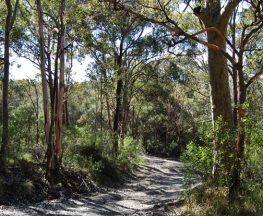 Yondeo trail Trail Hiking Australia