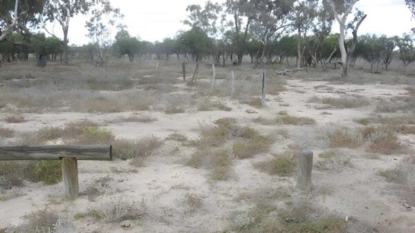 Culgoa Connellys Track (8km) Culgoa connellys track (8km)